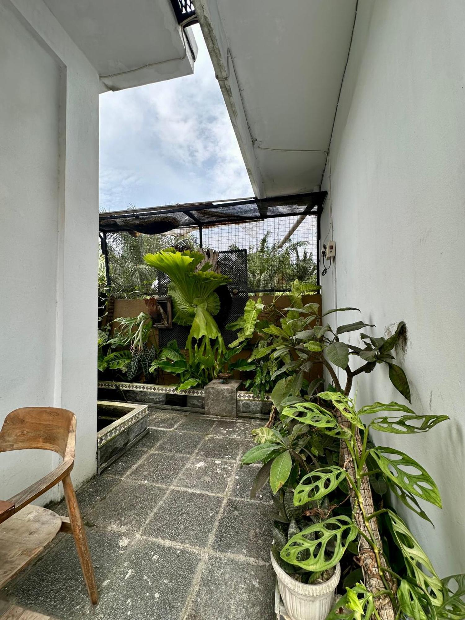 Rumah Kita Canggu Exteriör bild